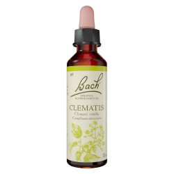 Fleurs de Bach Clématite n°09 - 20ml