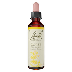 Fleurs de Bach Ajonc n°13 - 20ml