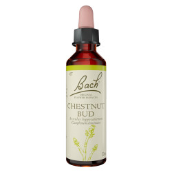 Fleurs de Bach Bourgeon de Marronnier n°07 - 20ml