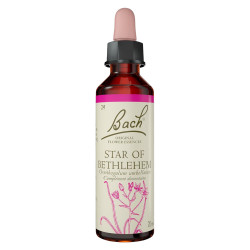 Fleurs de Bach Etoile de Bethlehem n°29 - 20ml