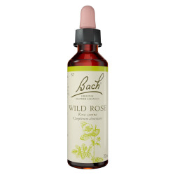 Fleurs de Bach Wild Rose n°37 - 20ml