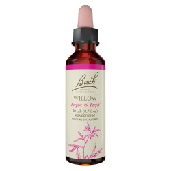 Fleurs de Bach Willow n°38 - 20ml