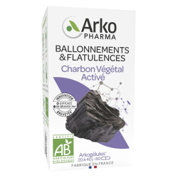 Arkopharma Arkogélules Charbon végétal activé bio 80 gélules