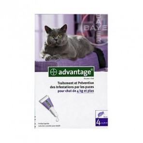 Advantage 80 chat 4 x 0.8 ml