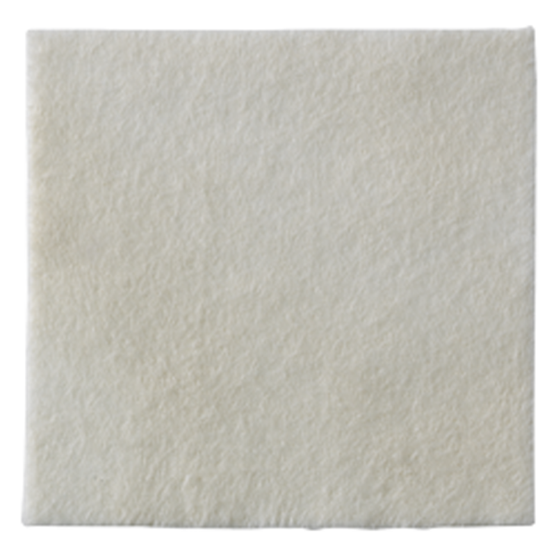 Coloplast Biatain Alginate 10 x 10cm 10 pansements