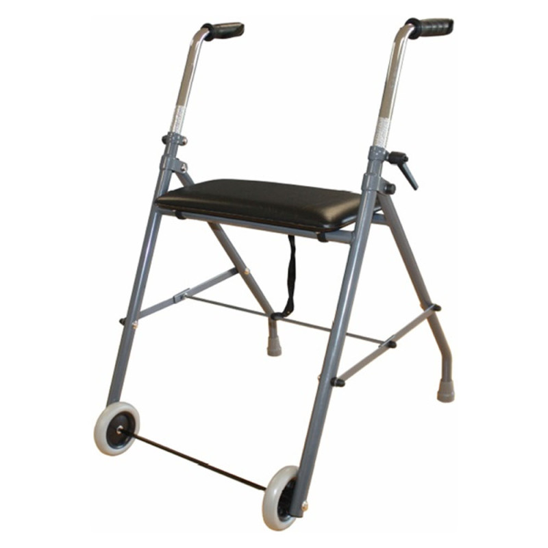 Vitadomia Déambulateur 2 roues