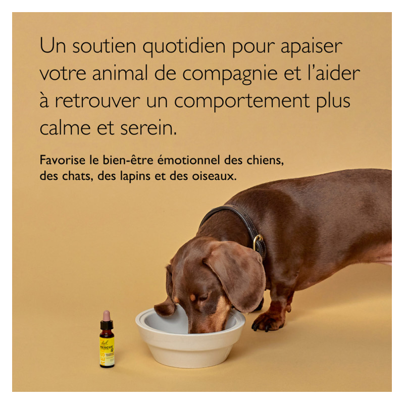 Rescue Pets Compte-gouttes...