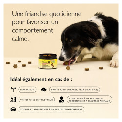 Rescue Pets Friandises Relaxantes pour chiens boîte de 60