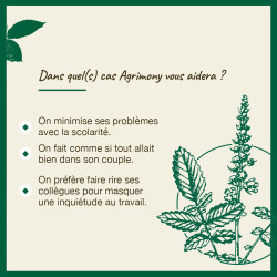 Fleurs de Bach Agrimony n°1 - 20ml