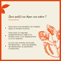Fleurs de Bach Aspen n°2 - 20ml