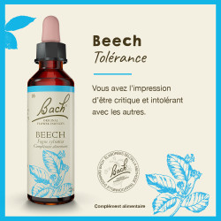 Fleurs de Bach Beech n°3 - 20ml