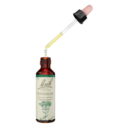 Fleurs de Bach Centaury n°4 - 20ml