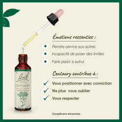 Fleurs de Bach Centaury n°4 - 20ml