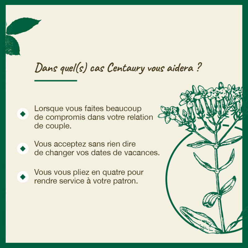 Fleurs de Bach Centaury n°4...