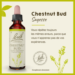 Fleurs de Bach Chestnut Bud n°7  - 20ml