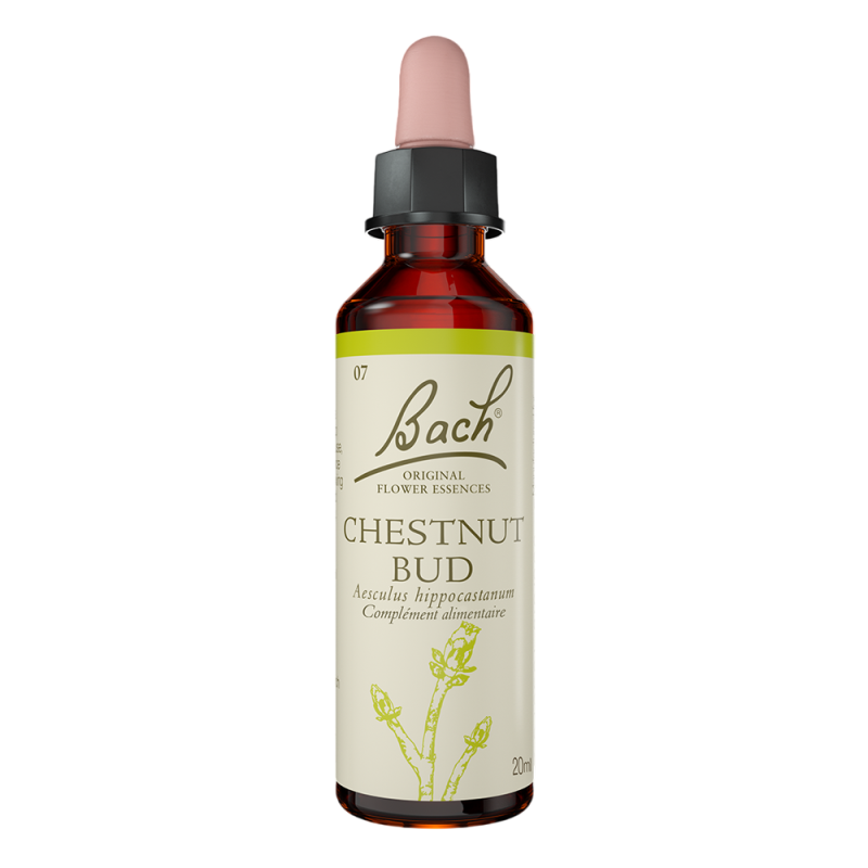 Fleurs de Bach Chestnut Bud n°7  - 20ml