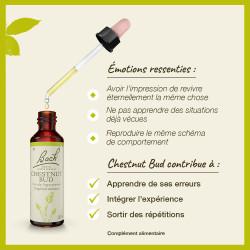 Fleurs de Bach Chestnut Bud n°7  - 20ml