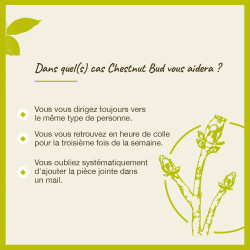 Fleurs de Bach Chestnut Bud n°7  - 20ml