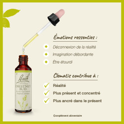 Fleurs de Bach Clematis n°9  - 20ml