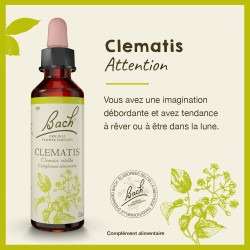 Fleurs de Bach Clematis n°9  - 20ml