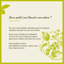 Fleurs de Bach Clematis n°9  - 20ml
