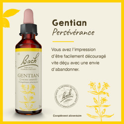 Fleurs de Bach Gentian n°12 - 20ml