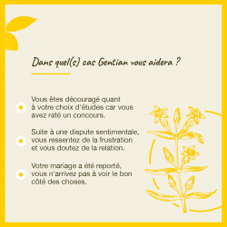 Fleurs de Bach Gentian n°12 - 20ml