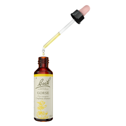 Fleurs de Bach Gorse n°13 - 20ml