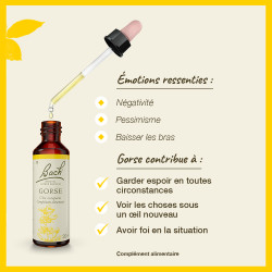 Fleurs de Bach Gorse n°13 - 20ml