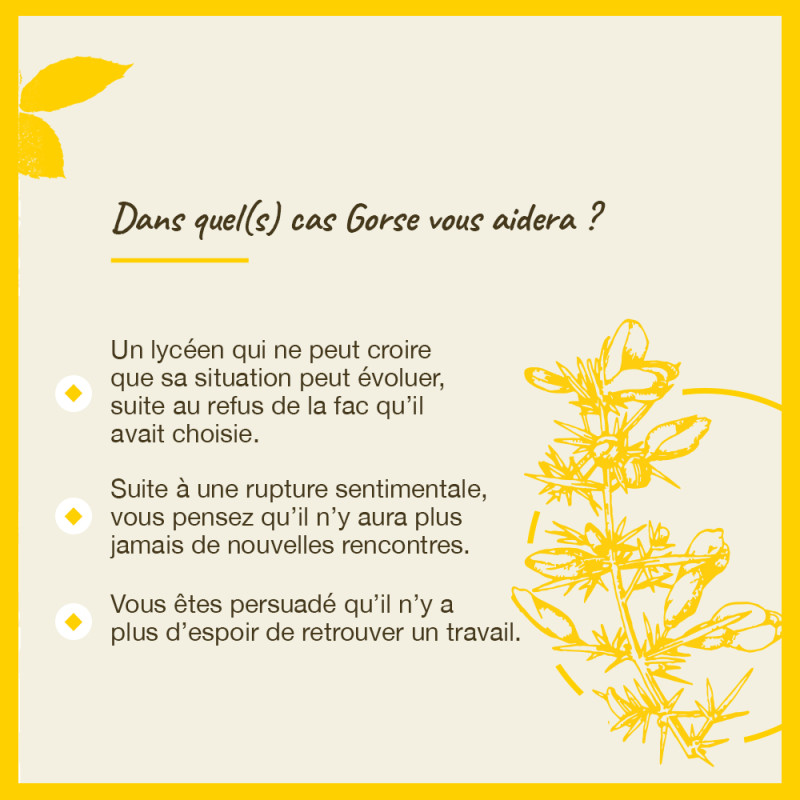 Fleurs de Bach Gorse n°13 -...
