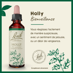 Fleurs de Bach Holly n°15 - 20ml