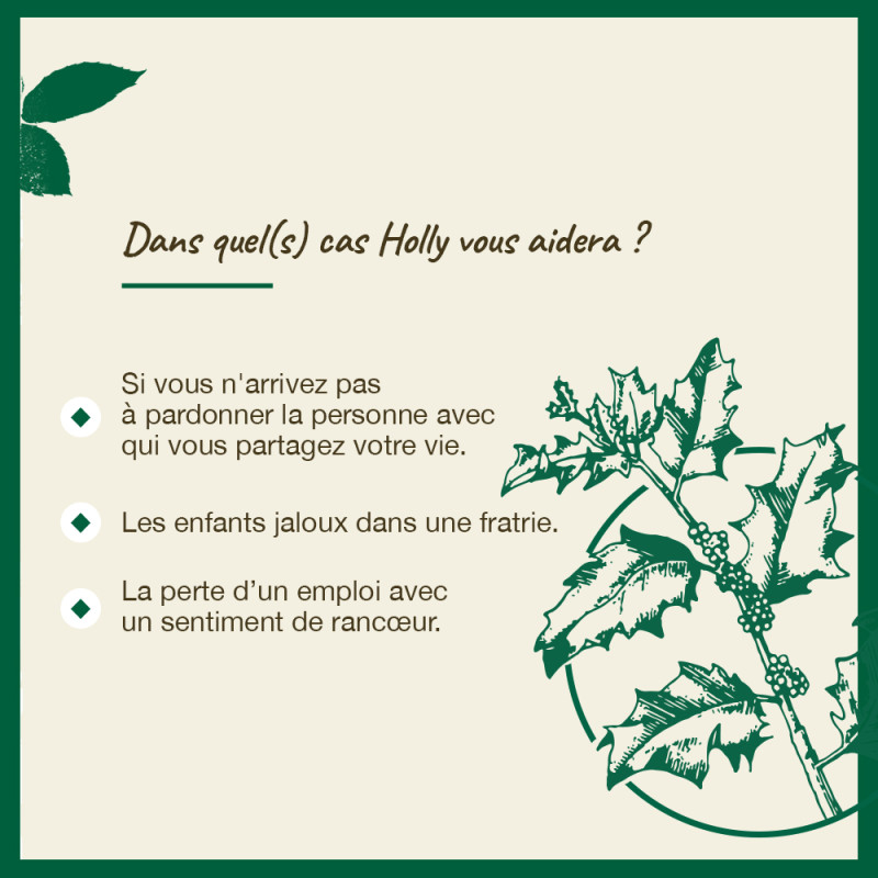 Fleurs de Bach Holly n°15 -...