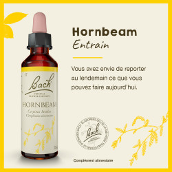 Fleurs de Bach Hornbeam n°17 - 20ml
