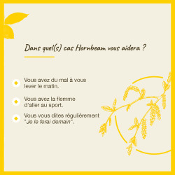 Fleurs de Bach Hornbeam n°17 - 20ml