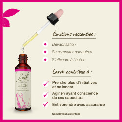 Fleurs de Bach Larch n°19 - 20ml
