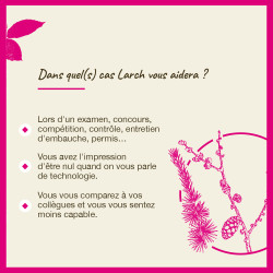 Fleurs de Bach Larch n°19 - 20ml