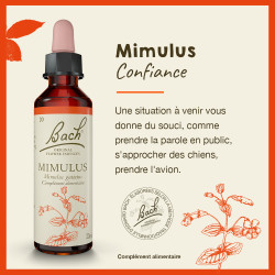 Fleurs de Bach Mimulus n°20 - 20ml