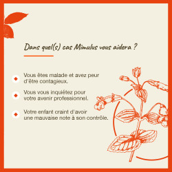 Fleurs de Bach Mimulus n°20 - 20ml
