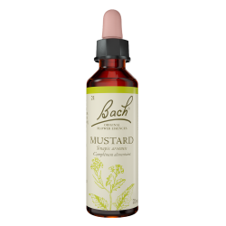 Fleurs de Bach Mustard n°21 - 20ml