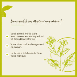 Fleurs de Bach Mustard n°21 - 20ml