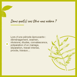Fleurs de Bach Olive n°23 - 20ml