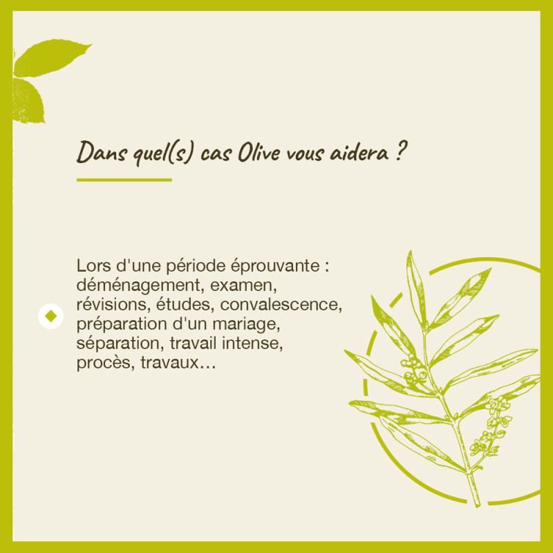 Fleurs de Bach Olive n°23 -...