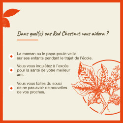 Fleurs de Bach Red Chestnut n°25 - 20ml