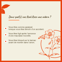Fleurs de Bach Rock Rose n°26 - 20ml