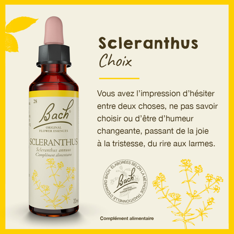 Fleurs de Bach Scleranthus...