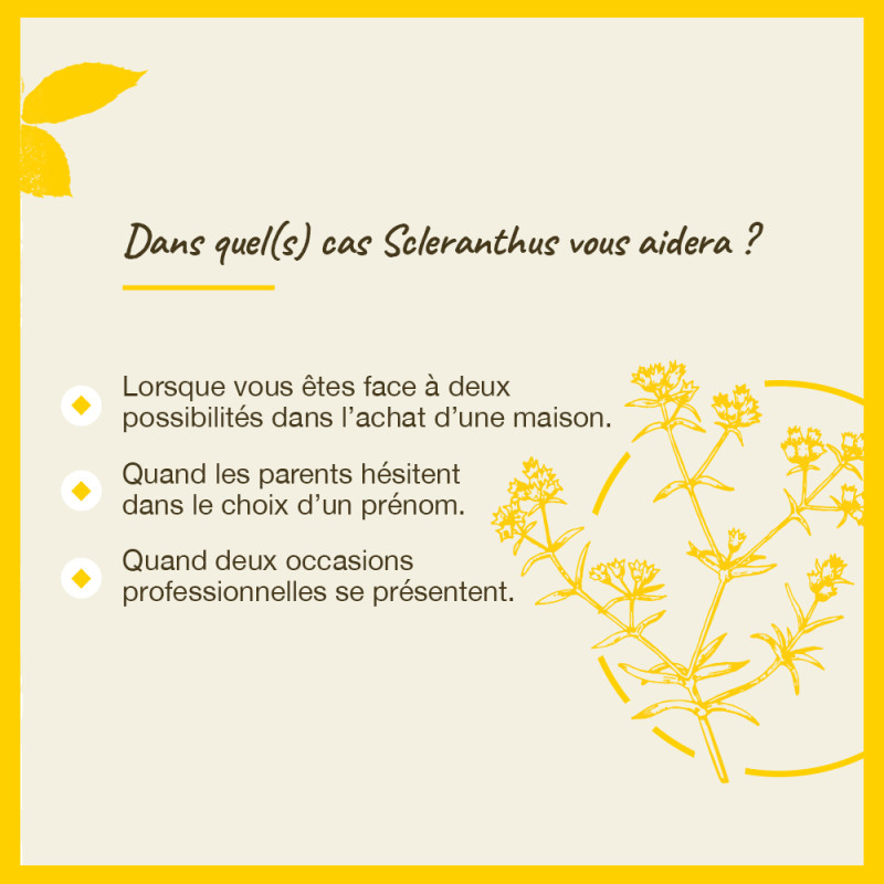 Fleurs de Bach Scleranthus...