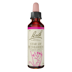 Fleurs de Bach Star Of Bethlehem n°29 - 20ml