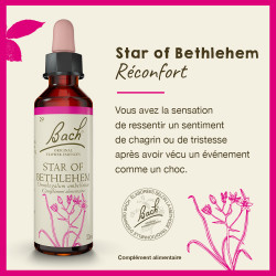 Fleurs de Bach Star Of Bethlehem n°29 - 20ml