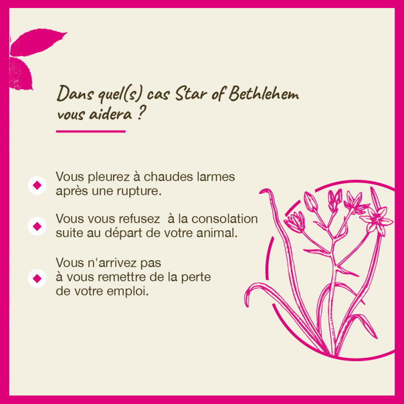 Fleurs de Bach Star Of...