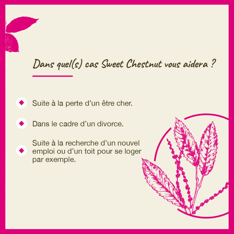 Fleurs de Bach Sweet...